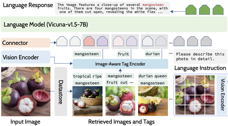 Tag-grounded VIT Icon